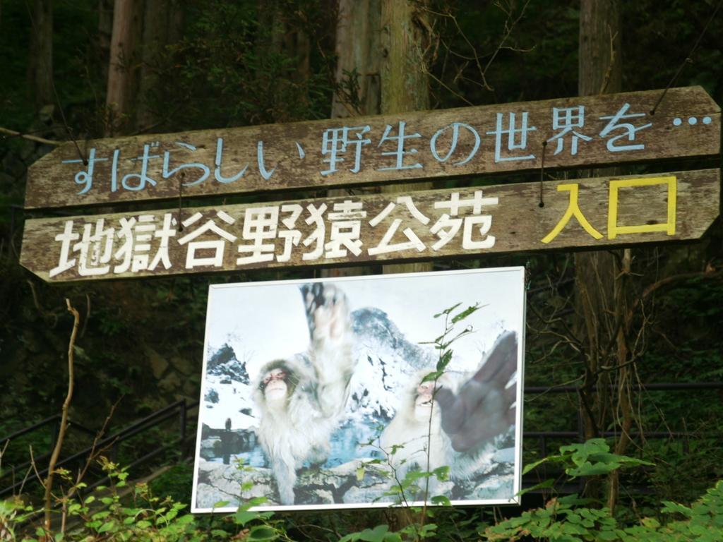 Youdaya Hotel Yamanouchi  Buitenkant foto